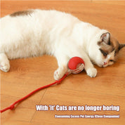 Interactive Rolling Cat Ball